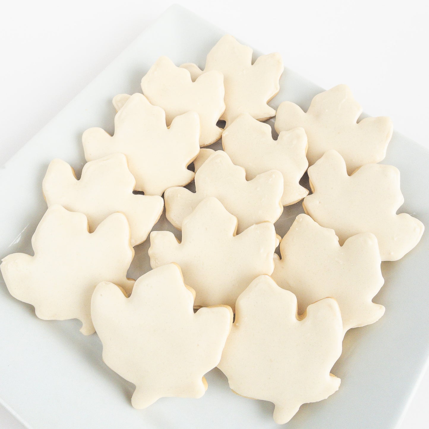 Maple Sugar Cookies